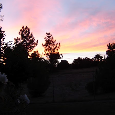 James Musgrove Photo 30