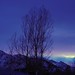 Linda Lavender Photo 8