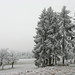 Nicole Frost Photo 16