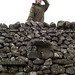 Bob Walls Photo 2