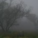 Misty Hays Photo 13