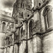 John Fickling Photo 4