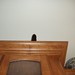 Eddie Newton Photo 9