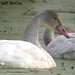 Beverly Porter Photo 7