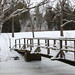 Leslie Backus Photo 7
