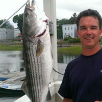 Mark Shea Photo 17