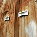 Rusty Hays Photo 4