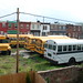 April Buss Photo 5
