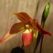 Eric Young Photo 24
