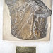 Solomon Stone Photo 3