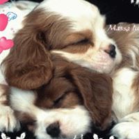 Jody Marie Photo 31