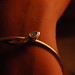 Lisa Volpe Photo 8