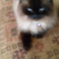 Peggy Payne Photo 21