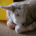 Bruce Lamb Photo 8