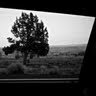 Fiona Woodman Photo 1