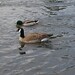 Eugene Hansen Photo 9