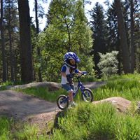 Chris Gillespie Photo 50