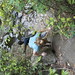Jill Becker Photo 13