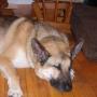 Lisa Nichols Photo 25