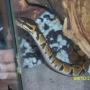 Judy Falcon Photo 12