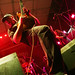 Andrea Mendoza Photo 7