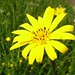 Maria Warth Photo 9