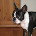 Leroy Chapman Photo 9
