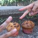 Jaime Cepeda Photo 7