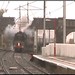 Tom Quayle Photo 6