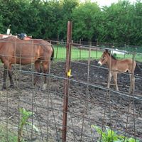 Nancy Hite Photo 20