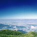Paolo Campos Photo 3