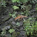 Kelvin Fox Photo 5