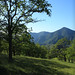 Melissa Oaks Photo 11
