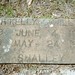 Kelly Williams Photo 21