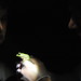 David Scheele Photo 8
