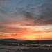 Todd Baugh Photo 10