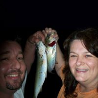 Paul Perdue Photo 30