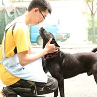 Hsiao Lei Photo 4