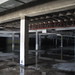 Robert Broad Photo 8