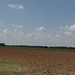Michael Howe Photo 13