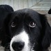 Ellen Coyle Photo 10