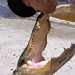 James Pinger Photo 7
