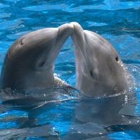 Randy Free Photo 22