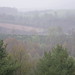 Virginia Rain Photo 6