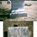 Elizabeth Everhart Photo 3