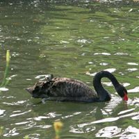 Lori Beckwith Photo 19