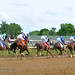 Calvin Oaks Photo 5