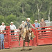 Kris Campbell Photo 14