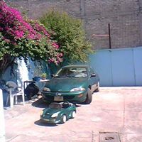 Rene Gomez Photo 47