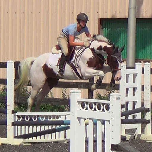 Allison Schulte Photo 23